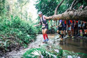 BIB: 
                            <button type="button" onclick="openModal(25466503)" class="btn btn-primary btn-sm float-right btn-popup" data-toggle="modal" data-target=".modal-high-quality">
                        <i class="fas fa-shopping-cart"></i> Add to Cart
                    </button>
                                            <button type="button" onclick="isThisMe(25466503, true)" class="btn btn-success btn-sm float-right btn-popup btn-isme hidden" data-toggle="tooltip" data-placement="bottom" title="นี่คือรูปของคุณใช่ไหม คลิกที่นี่เพื่อเอาเข้าอัลบั้ม">
                        <i class="fas fa-plus"></i> Add to album
                    </button>
                    <button type="button" onclick="isThisMe(25466503, false)" class="btn btn-warning btn-sm float-right btn-popup btn-isnotme hidden">
                        <i class="fas fa-ban"></i> Remove from album
                    </button>